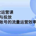 （2222期）dou+投放运营课：搞懂运营与投放，全面提升账号的流量运营效率
