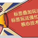 (2217期)鬼式标签叠加玩法6.0-标签玩法强化高效版,核心技术!