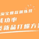 (2209期)打造淘宝爆款训练营,90%成功率:全品类新品打爆方案