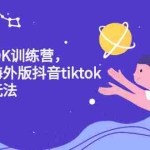 (2207期)海外TIKTOK训练营,百万项目海外版抖音tiktok流量赚钱玩法