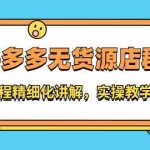 (2204期)拼多多无货源店群:全程精细化讲解,实操教学!