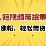 (2203期)素人短视频带货集训营:快速涨粉,轻松带货赚钱