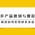 （2181期）拼多多产品规划与爆款打造，全方面阐述如何实现拼多多店铺爆款
