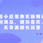 (2175期)抖音小店落地实操特训营,从开店到选品,猜你喜欢、店群、无货源都在这里