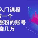 (2162期)短视频入门课程,从0-1做一个能持续涨粉的账号,轻松月赚几万