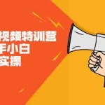 (2146期)二次混剪视频特训营,0基础新手小白都能上手实操,两天开干