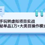 (2144期)新手玩转虚拟项目实战,揭秘单品1万+大类目操作模式【视频课程】