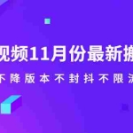 (2141期)抖音短视频11月份最新搬运技术,不降版本不封抖不限流!【视频课程】