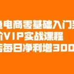(2082期)闲鱼电商零基础入门到进阶VIP实战课程,单店每日净利增300+