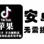 (2073期)tiktok海外版短视频操作教程(苹果/安卓),帮助国内也能刷海外版抖音