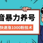 (2103期)抖音暴力养号,三天快速涨1000粉技术【视频课程】