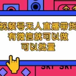 (2032期)视频号无人直播带货,有微信就可以做,可以批量【视频课程】