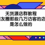 (2030期)无货源店群教程,朋友圈那些几万访客的店是怎么做的