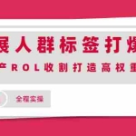 (2018期)钻展人群标签打爆法,高投产ROL收割打造高权重店铺(全程实操)