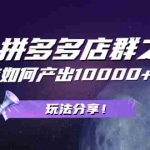 (2056期)拼多多店群之:教你单店如何产出10000+利润,玩法分享!