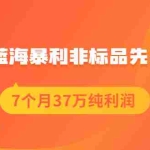 (2054期)淘宝蓝海暴利非标品先品思路,7个月37万纯利润,压箱干货分享!