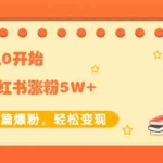 (2052期)新账号从0开始3个月小红书涨粉5W+实现单篇爆粉,轻松变现(干货)
