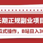 (2051期)长期正规副业项目,傻瓜式操作,B站日入300+