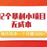 (2044期)最新32个暴利小项目,无成本、操作简单一个月赚5000+