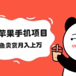 (2040期)闲鱼卖苹果手机项目,教你闲鱼卖货月入上万
