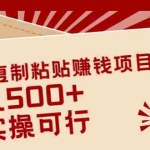 (2038期)简单复制粘贴赚钱项目,日入500+,已测试可行!(小白可做)