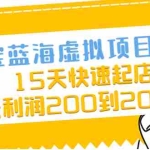 (2038期)淘宝蓝海虚拟项目4.0,15天快速起店,单天利润200到2000元