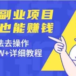 （1972期）分享个蓝海副业项目，送礼也能赚钱，按照方法去操作，年入50W+详细教程