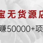 (1971期)淘宝无货源店群月赚50000+项目,选品,上架,引流 详细操作教程!