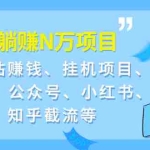 (1958期)9套躺赚N万项目:流量站赚钱、挂机项目、SEO、公众号、小红书、知乎截流等
