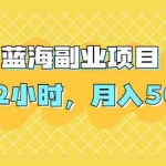 (1953期)蓝海副业项目,每天2小时,月入5000,附详细操作流程