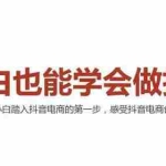 (2006期)2021最新抖音小店无货源课程,小白也能学会做抖店,轻松月入过万