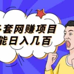 (2003期)分享多套网赚项目,随便能日入几百,包括朋友圈 知乎 个人IP 小红书 抖音等