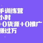 (1994期)闲鱼新手训练营,每天一小时,0基础+0货源+0推广 也能月赚过万