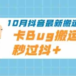 (1994期)10月抖音最新搬运技术,卡Bug搬运术,秒过抖+【视频课程】