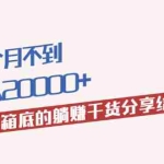 (1980期)一个月不到,月入20000+把压箱底的躺赚干货分享给大家