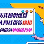 (1948期)直播带货实操训练营:揭秘几大网红带货绝招:普通人如何做到单场破万单