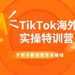 (1942期)TikTok海外掘金实操特训营:手把手教运营变现赚钱【视频课程】