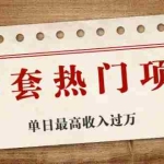 (1941期)30套热门项目:网赚项目、朋友圈、涨粉套路、抖音、快手  单日最高收入过万