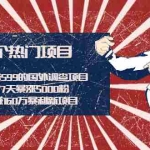 (1938期)拆解收费599的国外调查项目+抖音7天暴涨5000粉+20天赚160万暴利新项目