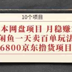 (1928期)0成本网盘项目 月稳赚2W+闲鱼一天卖百单玩法+6800京东撸货项目 (10个项目)