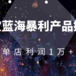 (1904期)淘宝蓝海暴利产品操盘教程:从零到单店利润10000+详细实操(付费文章)