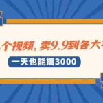 (1889期)录几个视频,卖9.9到各大平台,一天也能搞3000+