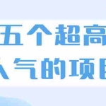 (1882期)超人气奇葩项目 卖土能赚到5个W+情感类项目月赚6位数+公众号项目(5个项目)