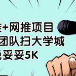 (1878期)地推+网推项目,3人团队扫大学城,一晚妥妥5K(6个项目)