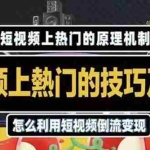 (1847期)短视频上热门的方法技巧,利用短视频导流快速实现万元收益
