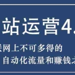 (1831期)暴疯团队网站赚钱项目4.0:网站运营与盈利,实现流量与盈利自动化的赚钱之路