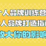 (1828期)张萌萌姐个人品牌训练营,个人品牌打造指南,放大你的影响力(价值3990元)