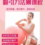 (1775期)吸引财富课程+吸引力法则课程49节:完美实现你的梦想及愿望,让人身富足