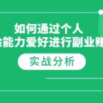 (1771期)如何通过个人经验能力爱好进行副业赚钱,多种实战赚钱分析(完结)