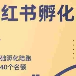 (1763期)勇哥小红书撸金快速起量项目:教你如何快速起号获得曝光,做到月躺赚3000+